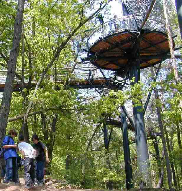 Auf dem Weg nach oben.