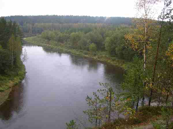 Gauja am Adlerfelsen