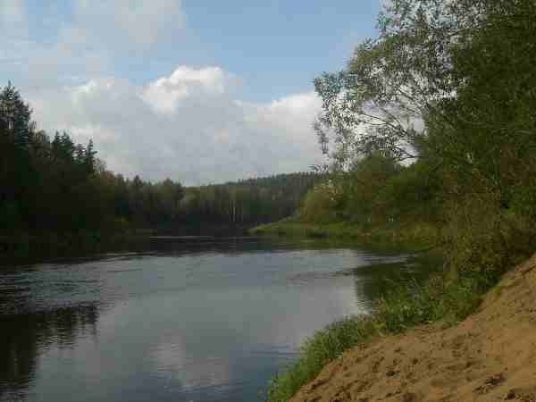 Gauja am Adlerfelsen